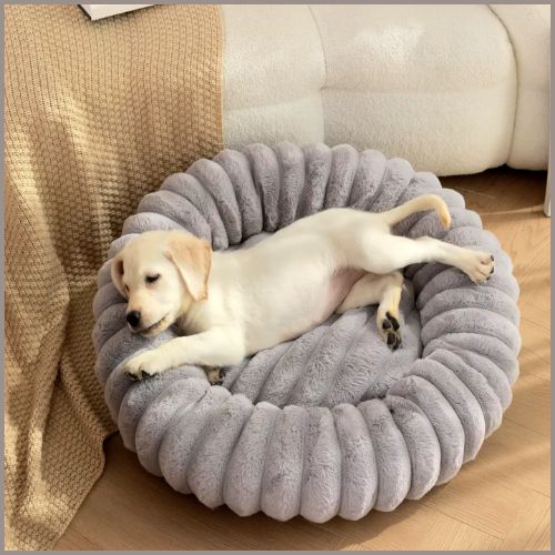 Coussin-chien-douillet_gris