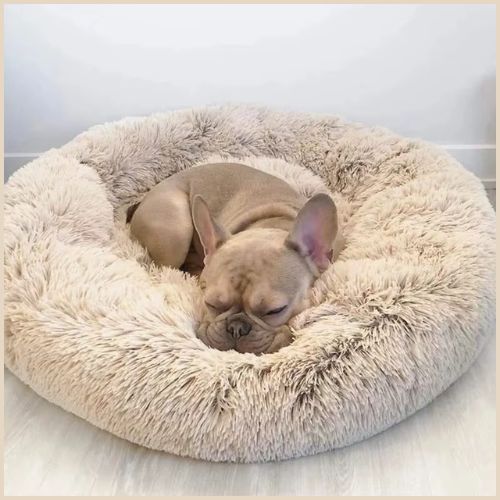 Coussin-chien-en-peluche-douce-beige