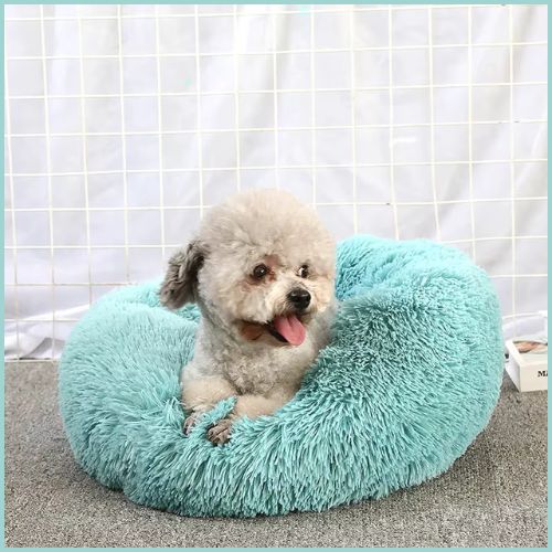 Coussin-chien-en-peluche-douce-tuquoise