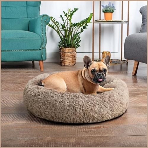 Coussin-chien-xxl_marron