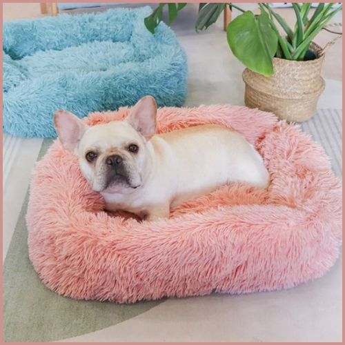 Coussin-chien_rose