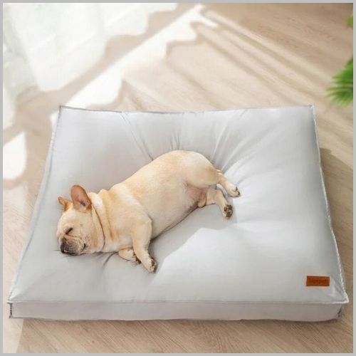 Coussin-dehoussable-pour-chien-confort