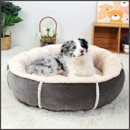 Coussin-pour-chien-moelleux-avec-rembourrage-epais
