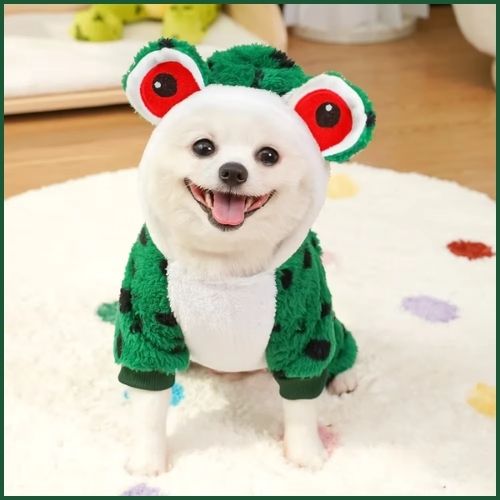 Déguisement-grenouille-pour-chien-