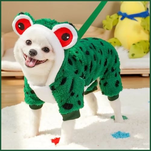 Déguisement-grenouille-pour-chien-vert