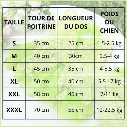 Déguisement-papillon-pour-chien-tailles
