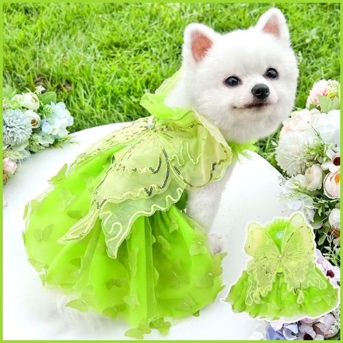 Déguisement-papillon-pour-chien