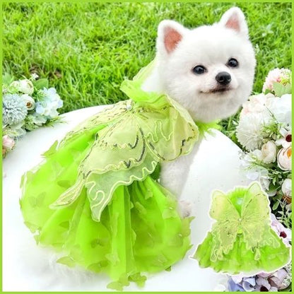 Déguisement-papillon-pour-chien
