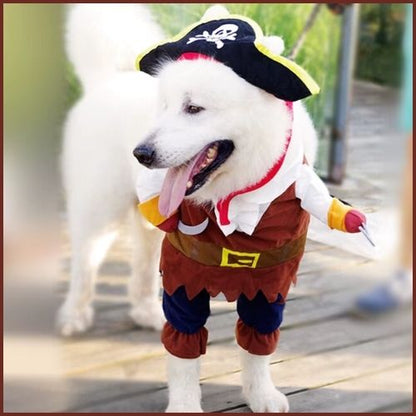 Déguisement-pirate-pour-chien_marron