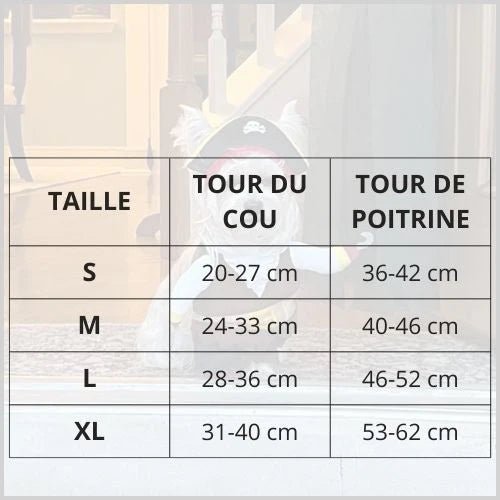 Déguisement-pirate-pour-chien-taille