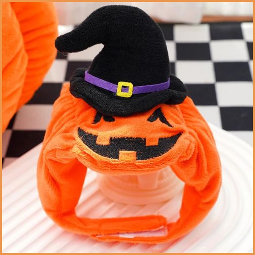 Deguisement-citrouille-pour-chien_chapeau