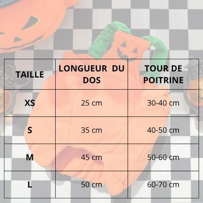 Deguisement-citrouille-pour-chien_taille