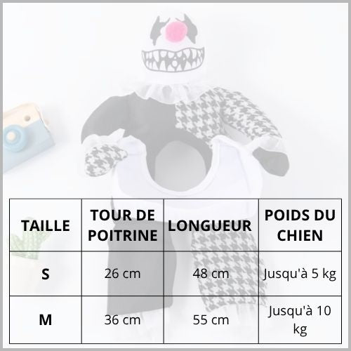 Déguisement-clown-pour-chien-taille