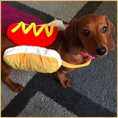 Deguisement-hot-dog-pour-chien-Bellfor