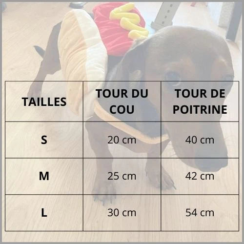 Deguisement-hot-dog-pour-chien-taille