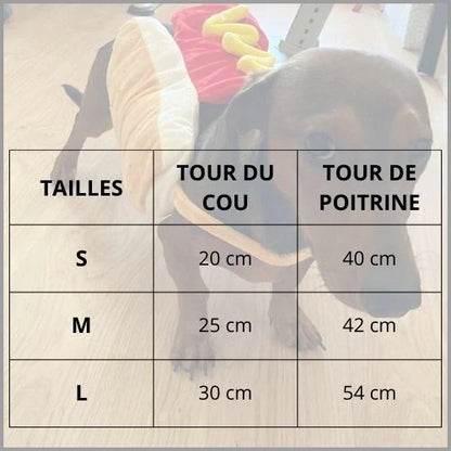Deguisement-hot-dog-pour-chien-taille