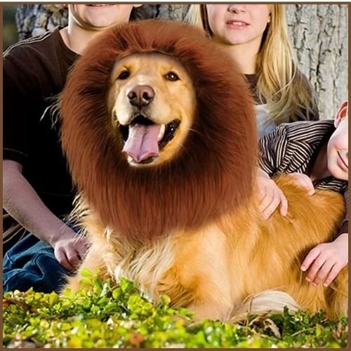 Deguisement-lion-pour-chien_marron