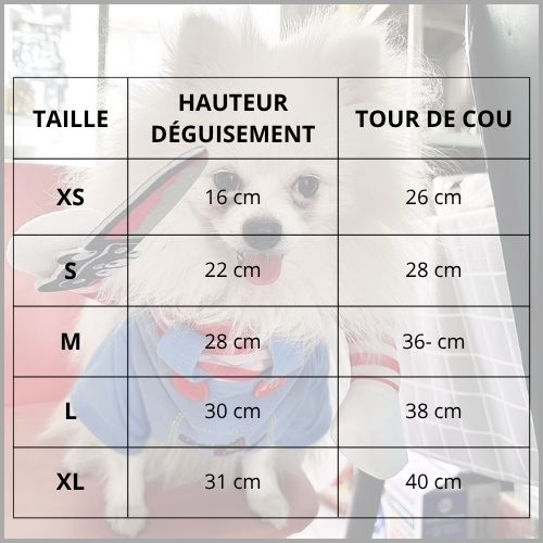 Déguisement-poupée-terrifiante-pour-chien-taille