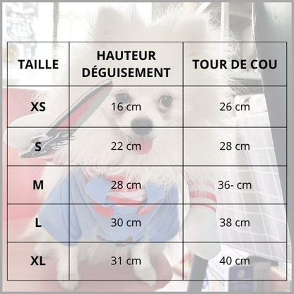 Déguisement-poupée-terrifiante-pour-chien-taille