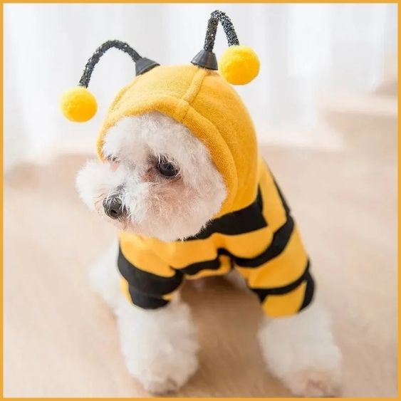 Deguisement-pour-petit-chien-en-abeille-antenne