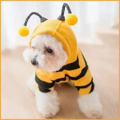 Deguisement-pour-petit-chien-en-abeille-antenne