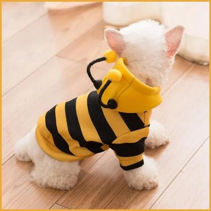 Deguisement-pour-petit-chien_en-abeille-jaune