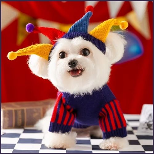 Deguisement-pour-petit-chien_joker-rouge
