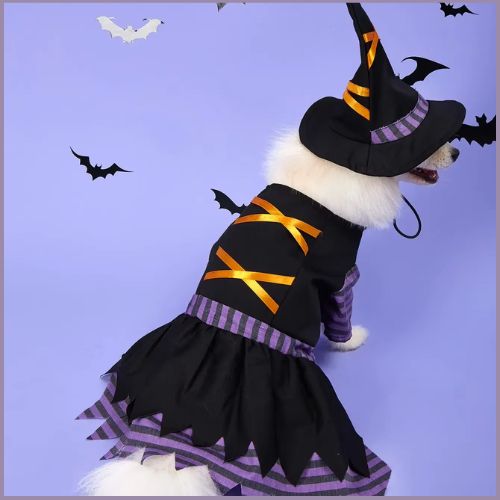 Déguisement-sorcière-pour-chien-violet