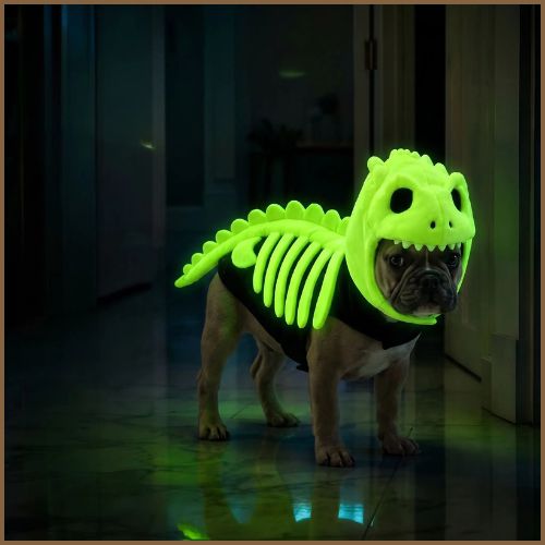 Déguisement-squelette-dinosaure-pour-chien-vert