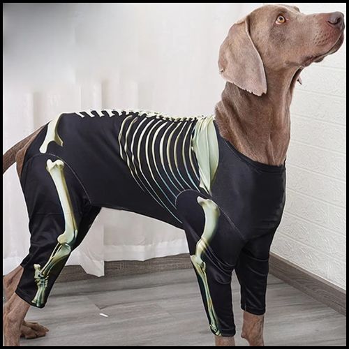 Déguisement-squelette-pour-chien-noir