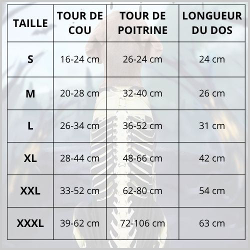 Deguisement-squelette-pour-chien_taille