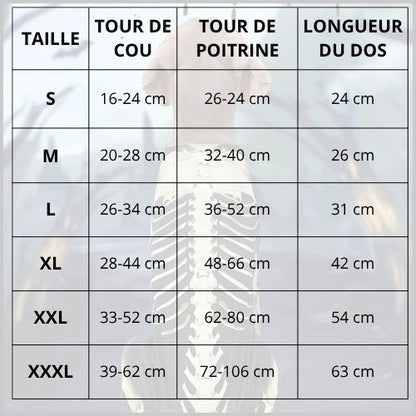 Deguisement-squelette-pour-chien_taille