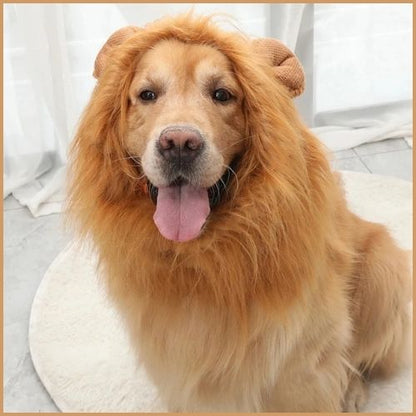 Deguisement-lion-pour-chien-beige