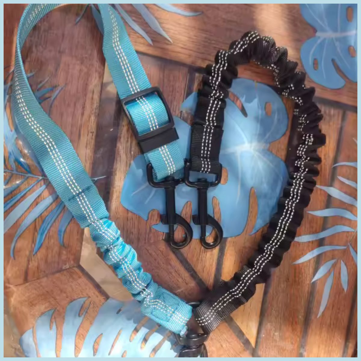 Laisse double pour chien petit et moyen |Balade Complice