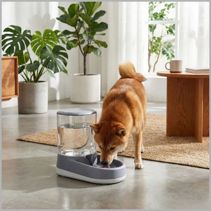 Distributeur-d-eau-pour-chien-automatique-3-8-L_shiba-inu