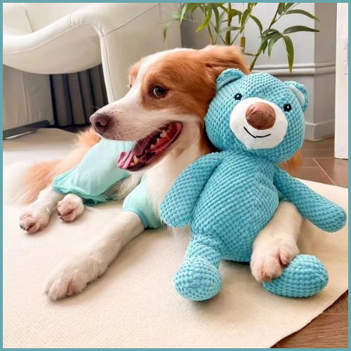 Doudou pour chien |  OursApaisant