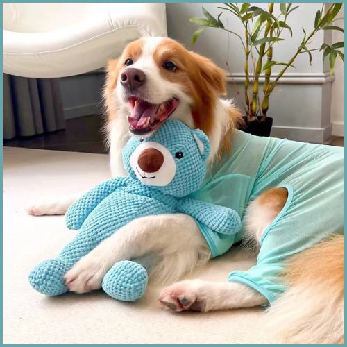Doudou pour chien |  OursApaisant