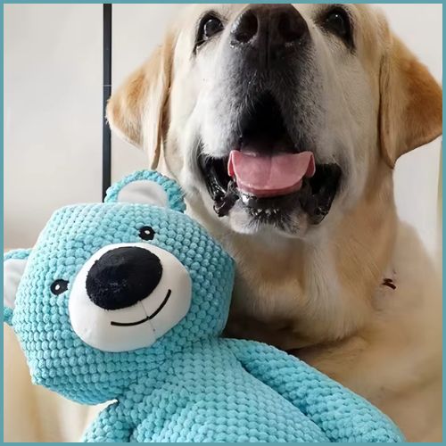 Doudou pour chien |  OursApaisant