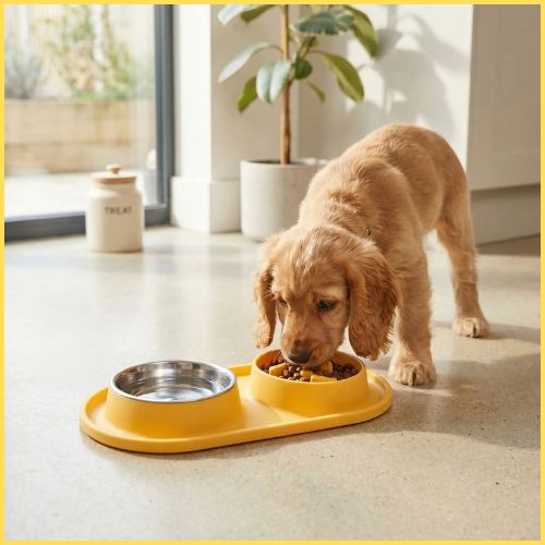 Gamelle-anti-glouton-chien-2-en-1-anti-debordement_jaune