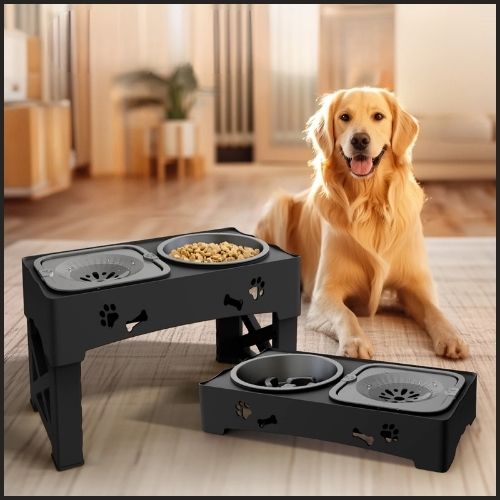 Gamelle-chien-surélevée-2-en-1-anti-glouton-et-anti-fuite_golden