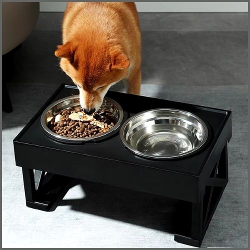 Gamelle-chien-surélevée_3-hauteurs-réglables-shiba