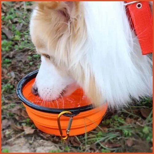 Gamelle-pliable-chien-en-silicone-pour-randonnée-orange