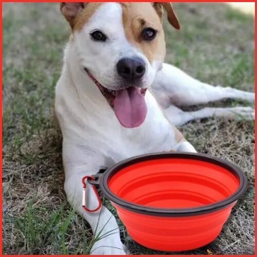 Gamelle-pliable-chien-rouge