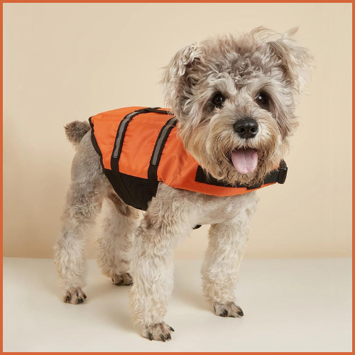 Gilet-de-sauvetage-chien-orange