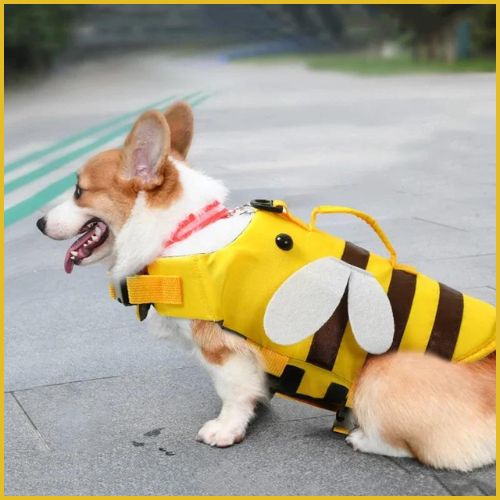 Gilet-de-sauvetage-chien-petit-et-moyen-rigolo-jaune