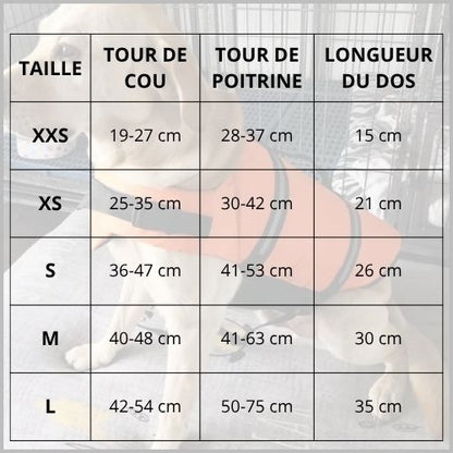 Gilet-de-sauvetage-chien_petite-et-moyenne-taille-tailles