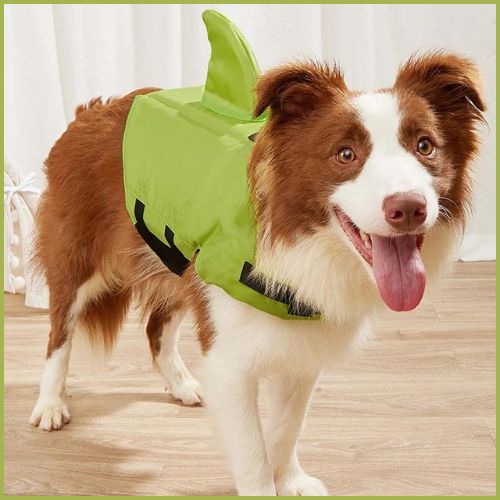Gilet-de-sauvetage-pour-chien_requin-haute-flottabilité-vert