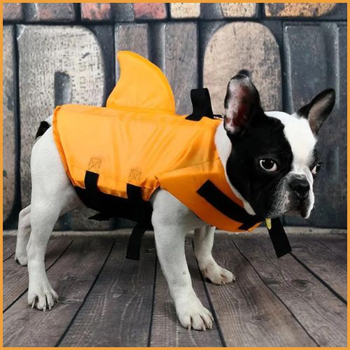 Gilet-de-sauvetage-pour-chien_requin-haute-flottabilité-orange
