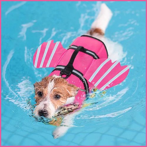 Gilet_de_sauvetage_chien-baignade-mer-et-piscine-rose