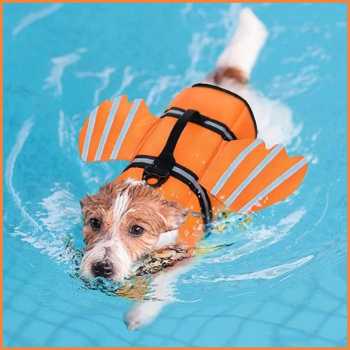 Gilet_de_sauvetage_chien_orange